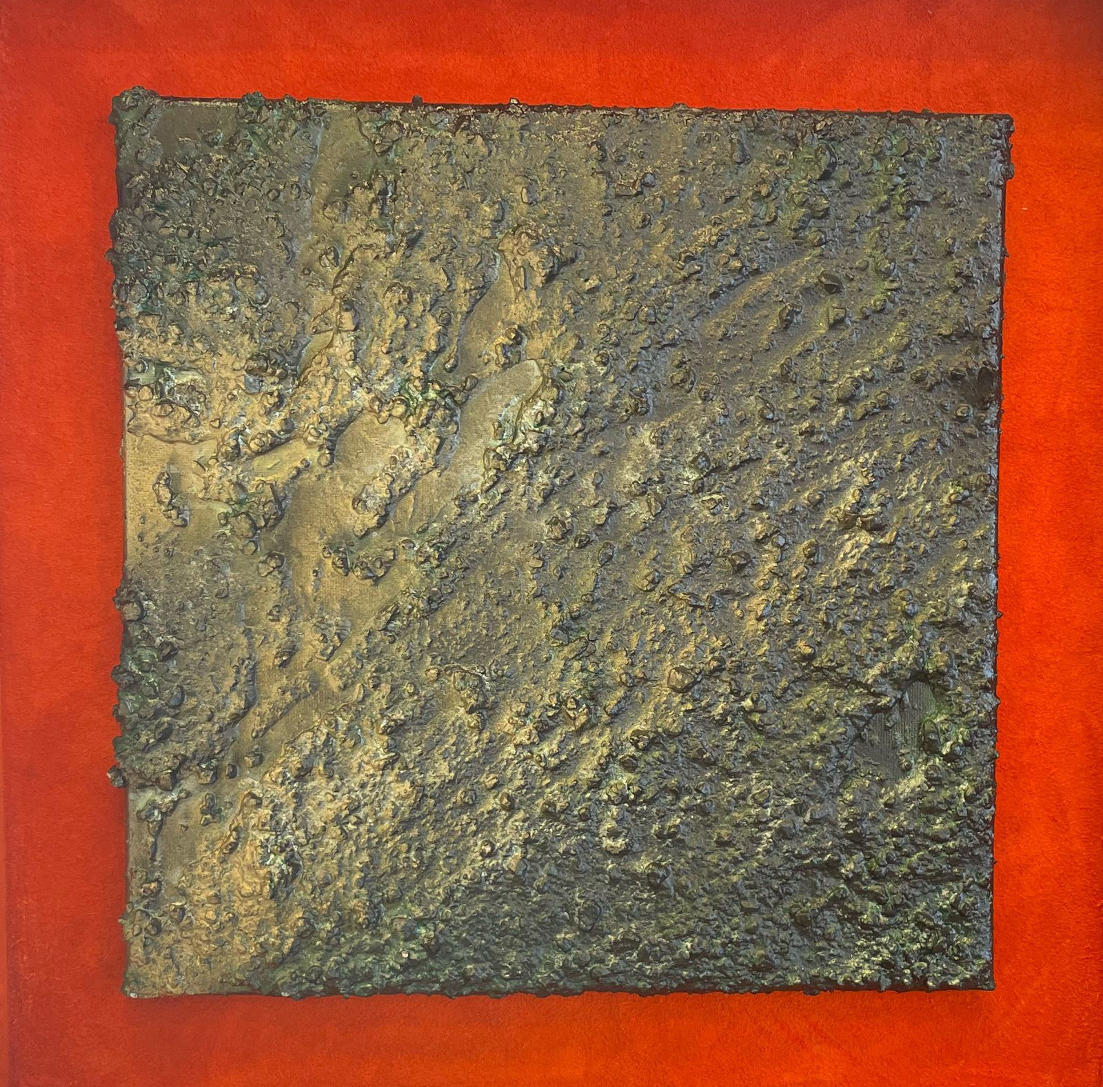 Mazvyde Sakal- Carpeta Edición Limitada  “Precio en dólares”