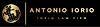Avvocato antonio iorio studio legale iorio law firm roma rome milan italy new york los ang