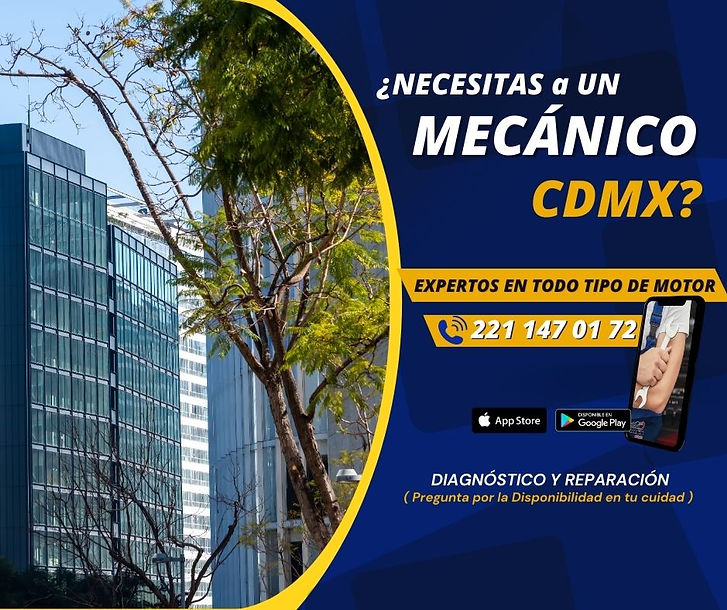 TALLER DIESEL EN TEHUACAN (116).jpg