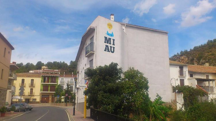 foto_MIAU.jpeg