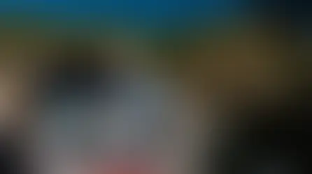 20 minutos
