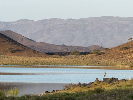 Turkana Lake Life