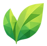 Untitled design (5).png