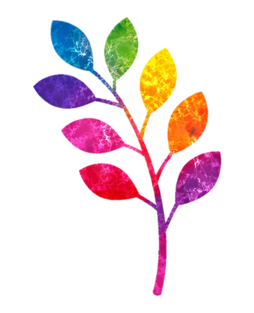 PPDC_Web photos (4).png