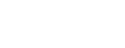 Logo N1_Branco.png