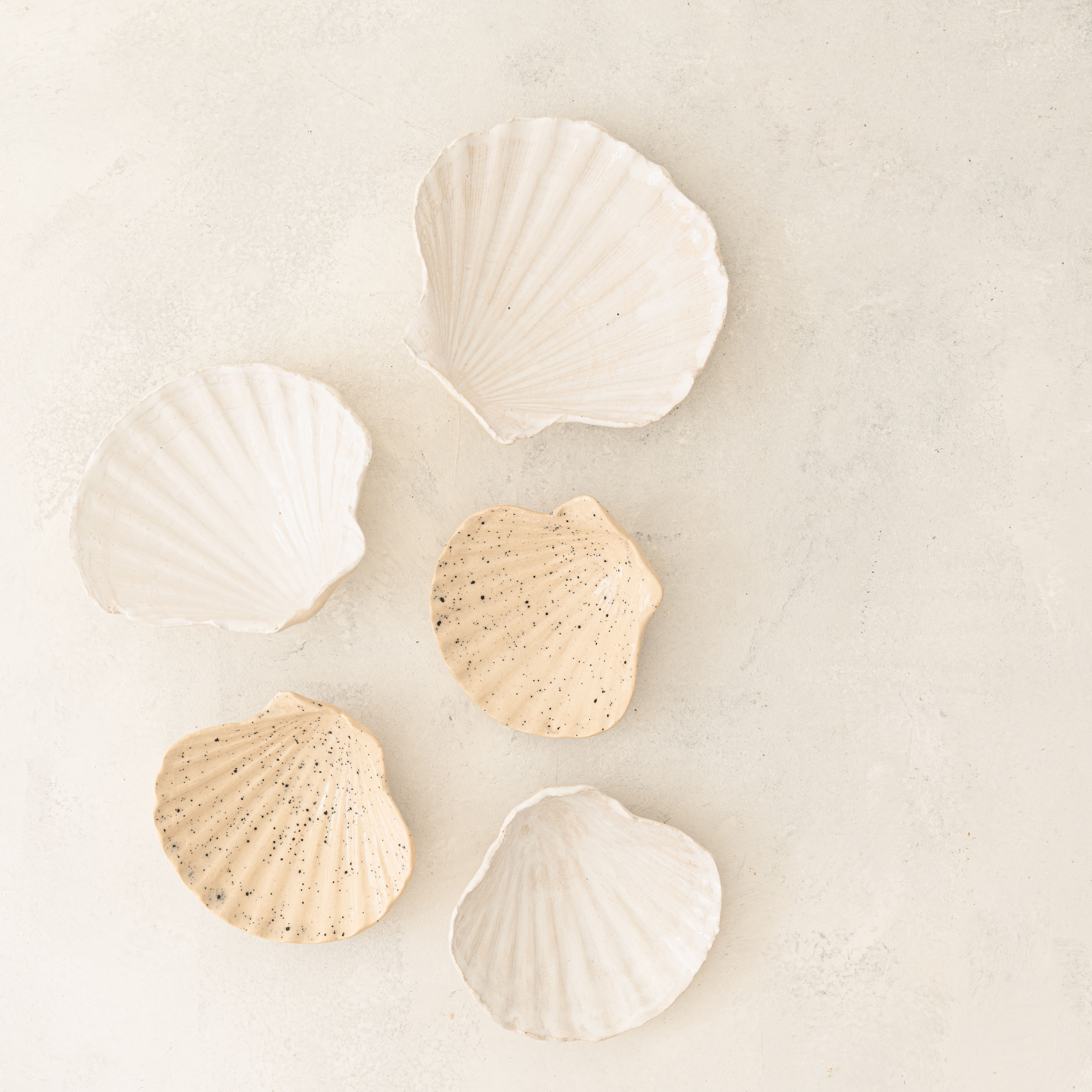ceramic shell tray