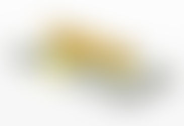 SBA Paycheck Protection Program