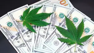 Budding Opportunity: Demystifying Lending to Cannabis Businesses