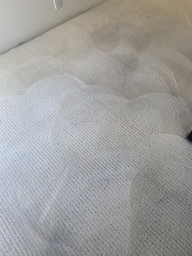 Carpet Cleaning service
