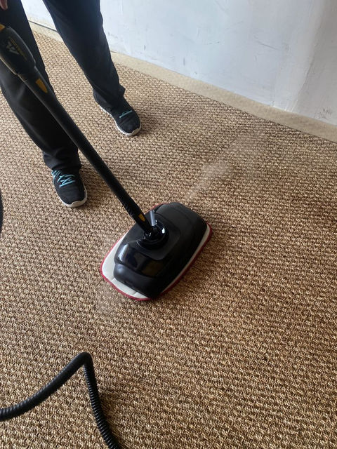 VIP cleaning carpet