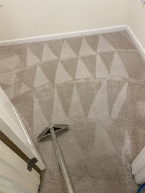 professional carpet cleaning service