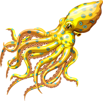 octopus.png
