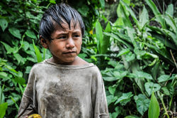 Bolivia - Coroico