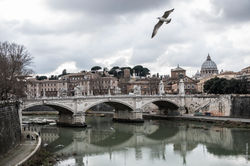 Roma