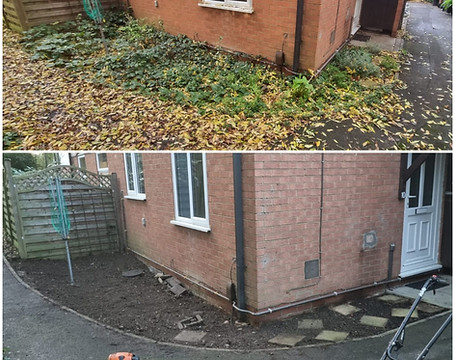 WhatsApp Image 2026-01-08 at 8.14.00 PM.jpeg