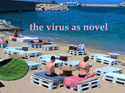 VIRUS AS NOVEL