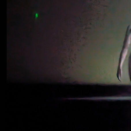 LIMINAL by Pierre Huyghe