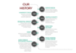 Timeline 2019 (2).png