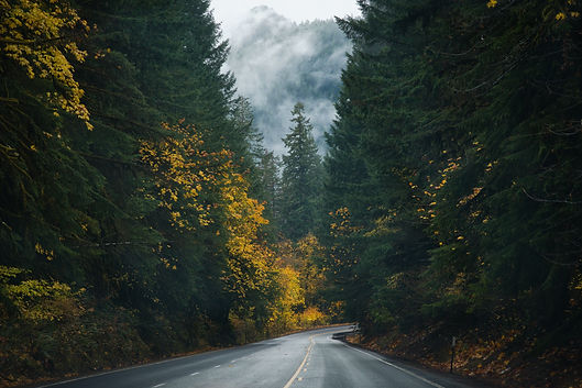 AdobeStock_235148270.jpeg