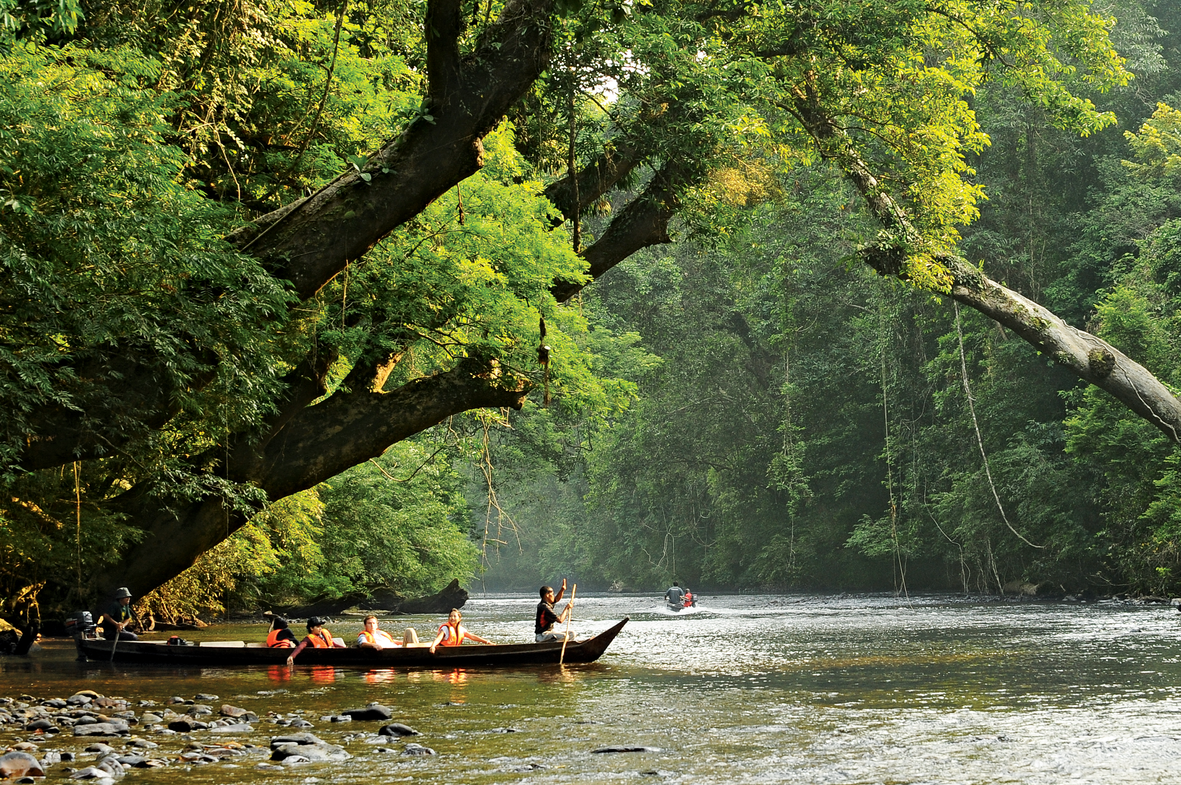 Taman Negara Tour