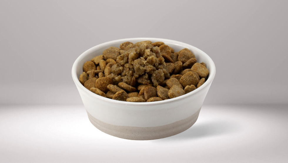 サムネイル： KISENA国産生食フリーズドライ　ドックフード40ｇ～42ｇ