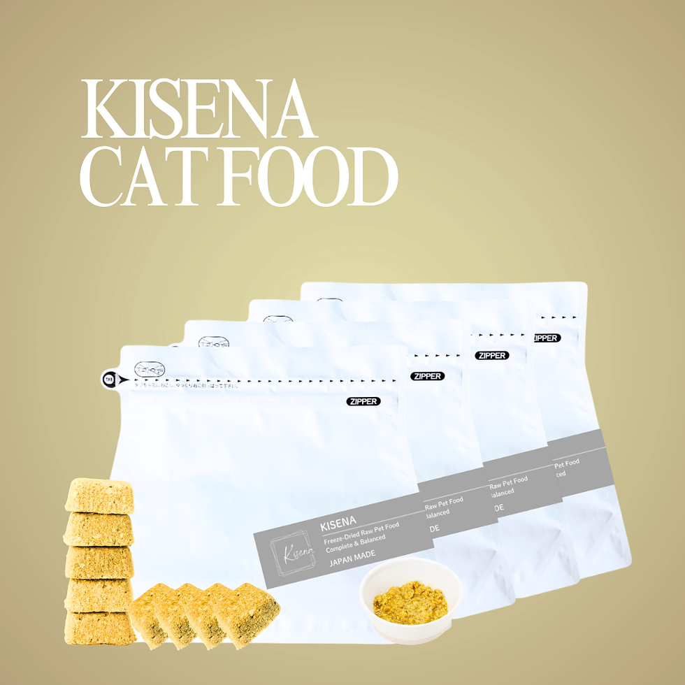 サムネイル： 定期購入　KISENA国産生食フリーズドライ キャットフード