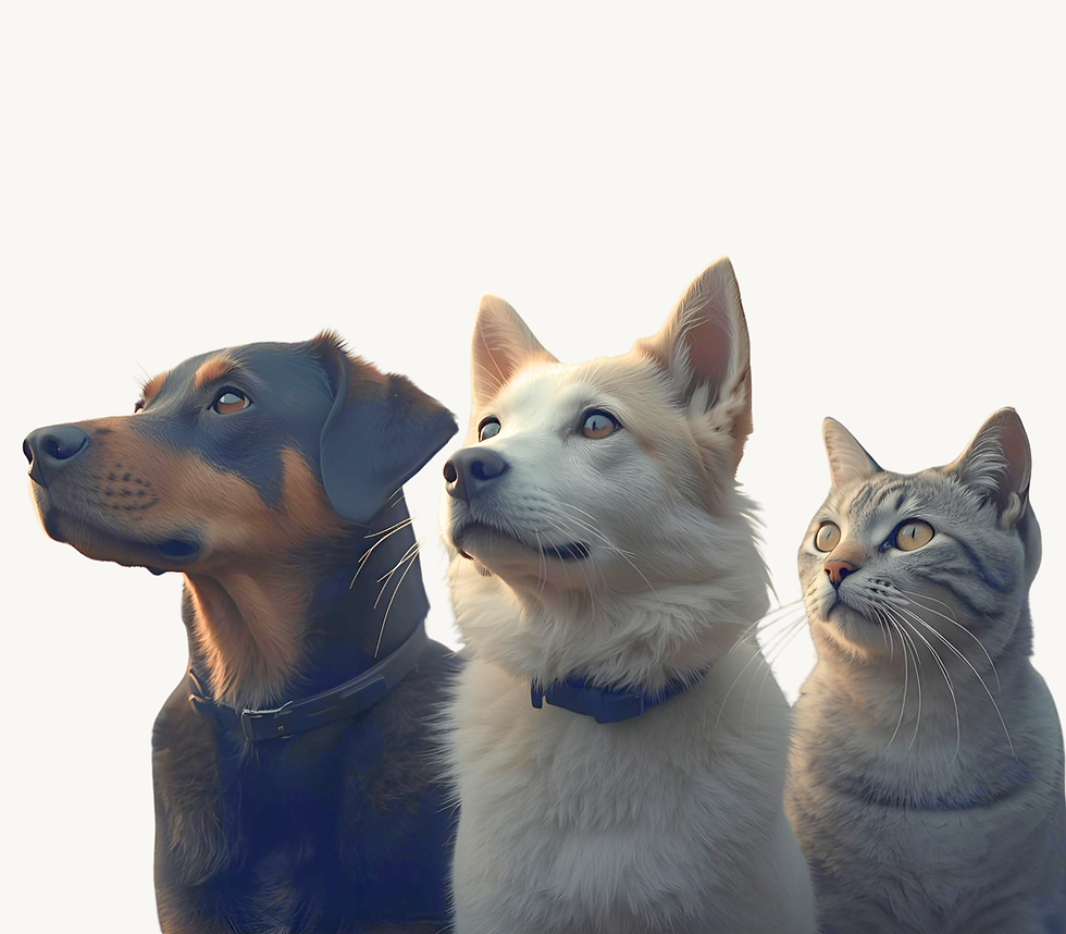 なぜ犬猫の食事を、人間の常識だけで考えないのか