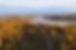 DJI_0014.jpg