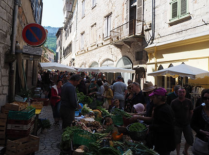 P5201740.JPG
