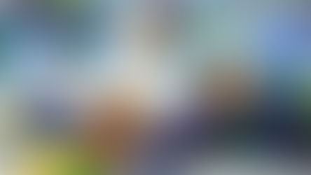 The Day I Stopped Fighting the Sea