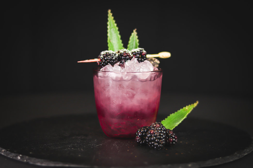 Bramble.jpeg
