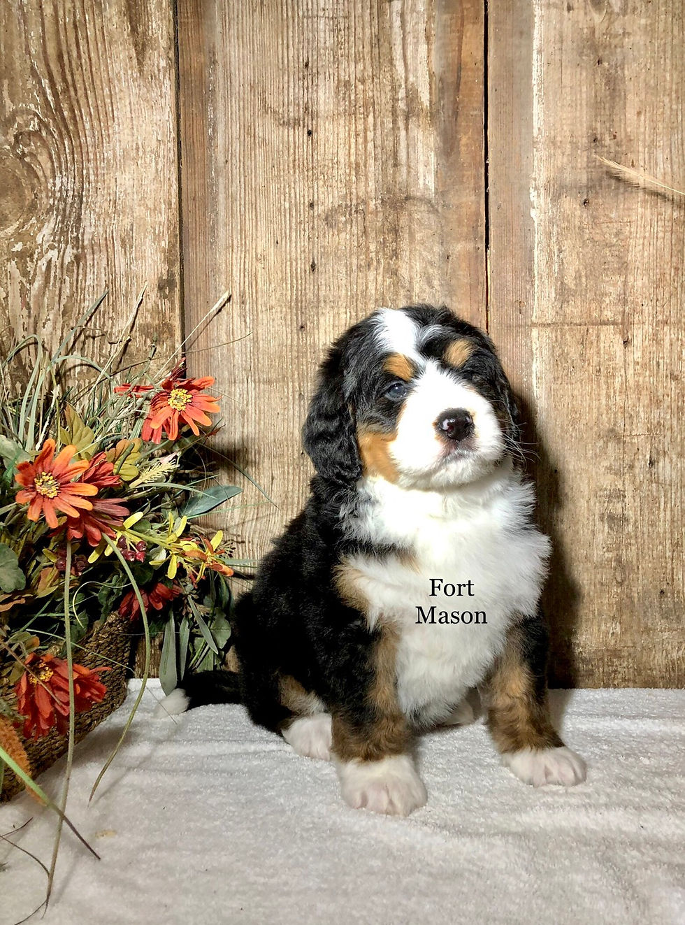 Thumbnail: Quigg (Reserved)