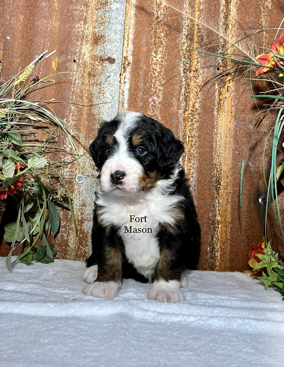 Thumbnail: Victor (Reserved)