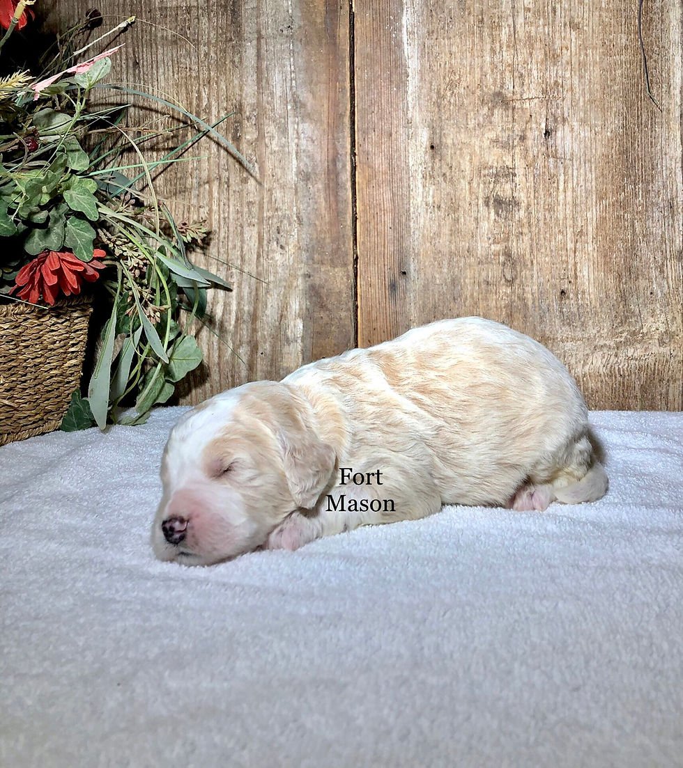 Thumbnail: Moe (Reserved)