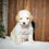 Thumbnail: Darla (Reserved)