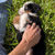 Thumbnail: Olive (Reserved)