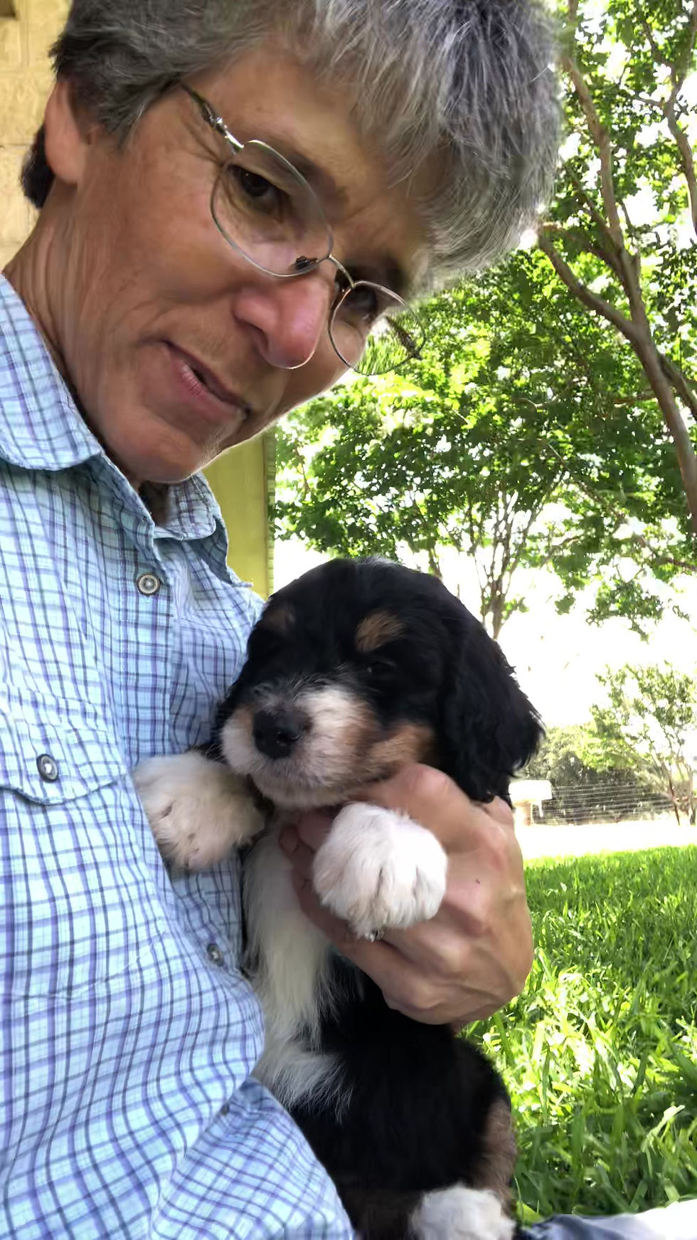 Thumbnail: Daisy (Reserved)