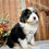 Thumbnail: Vinny (Reserved)