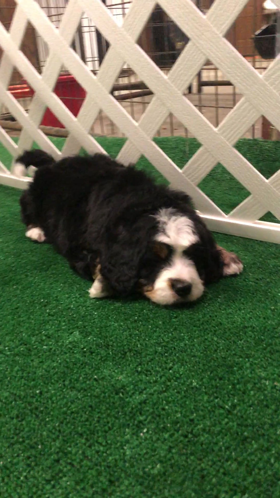 Thumbnail: Yukon (Reserved)