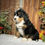 Thumbnail: Yuma (Reserved)