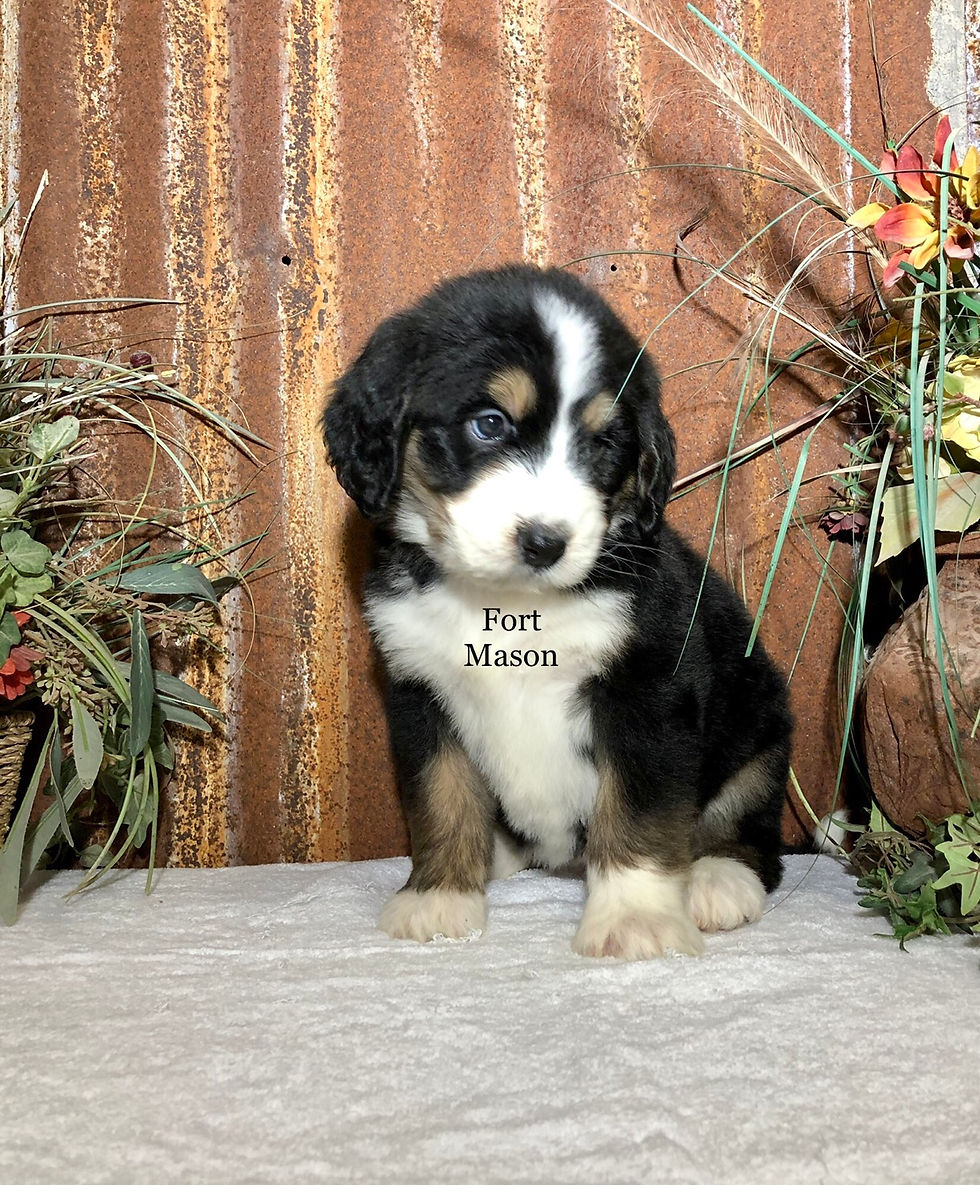 Thumbnail: Violet (Reserved)