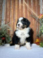 Thumbnail: Waylon (Reserved)