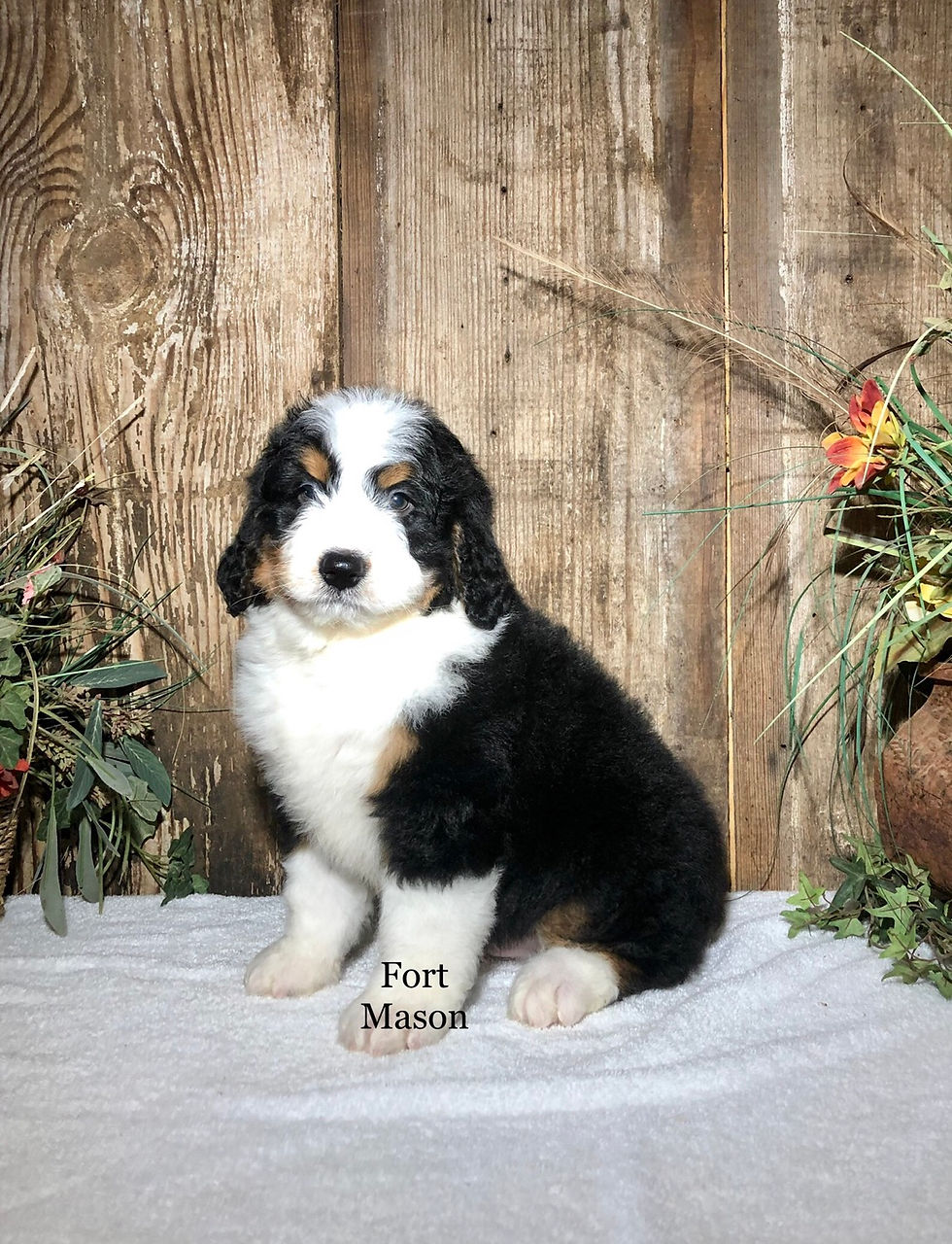 Thumbnail: Otto (Reserved)
