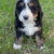 Thumbnail: Quigley (Reserved)