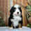 Thumbnail: Virgil (Reserved)