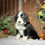 Thumbnail: Cammie (Reserved)