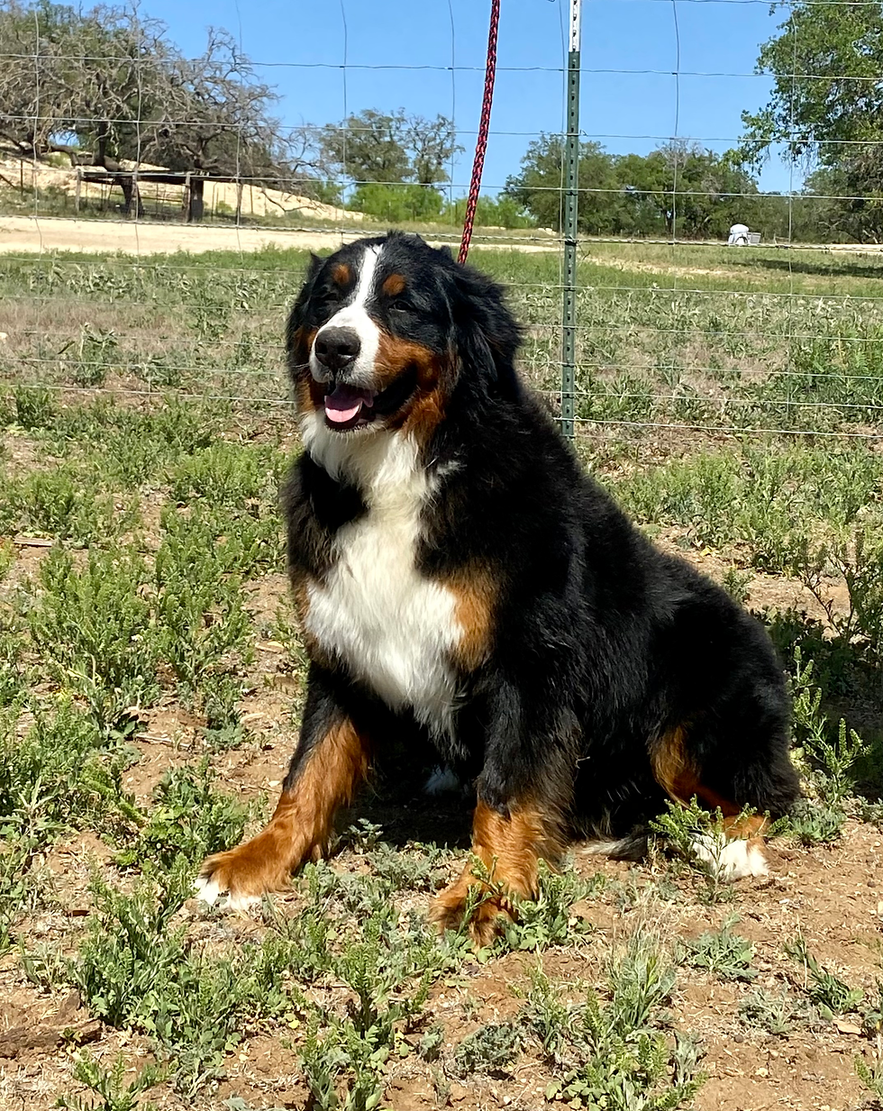 Chloe