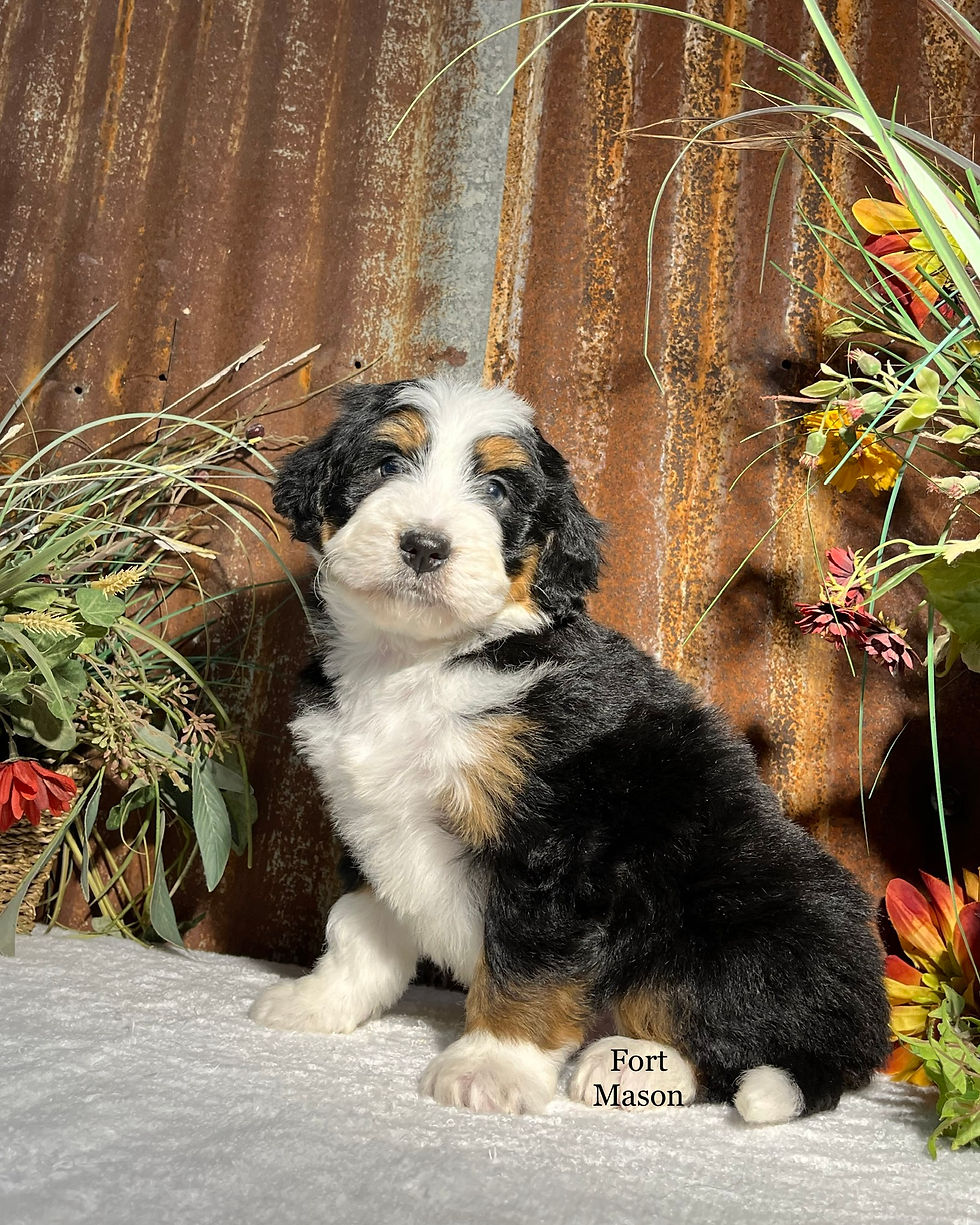 Thumbnail: Zeus (Reserved)