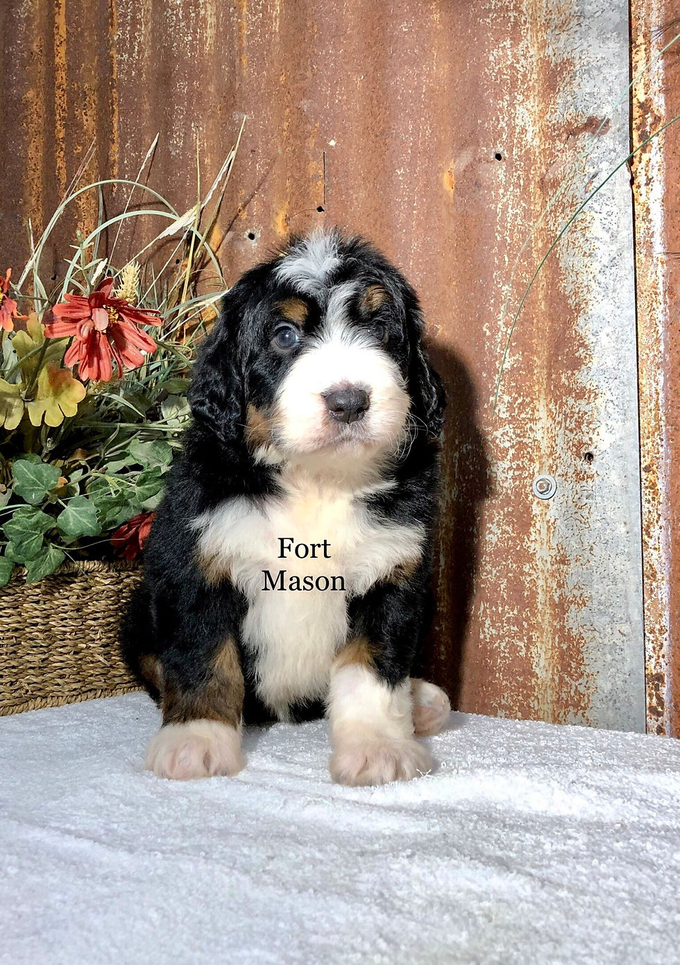 Thumbnail: Edna (Reserved)