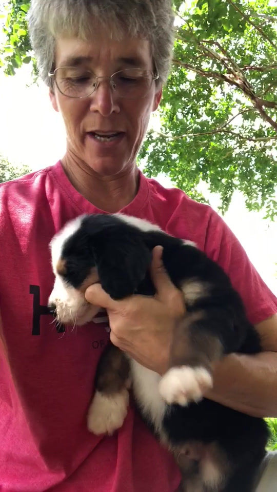 Thumbnail: Gideon (Reserved)